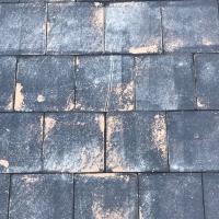 65252797_641007196398528_2685695427314974720_n